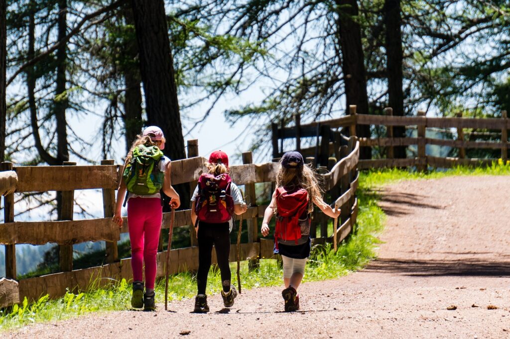 People Hiking on Path