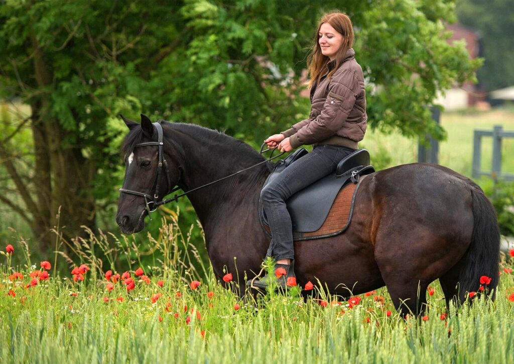 horse, flower background, woman-6127021.jpg