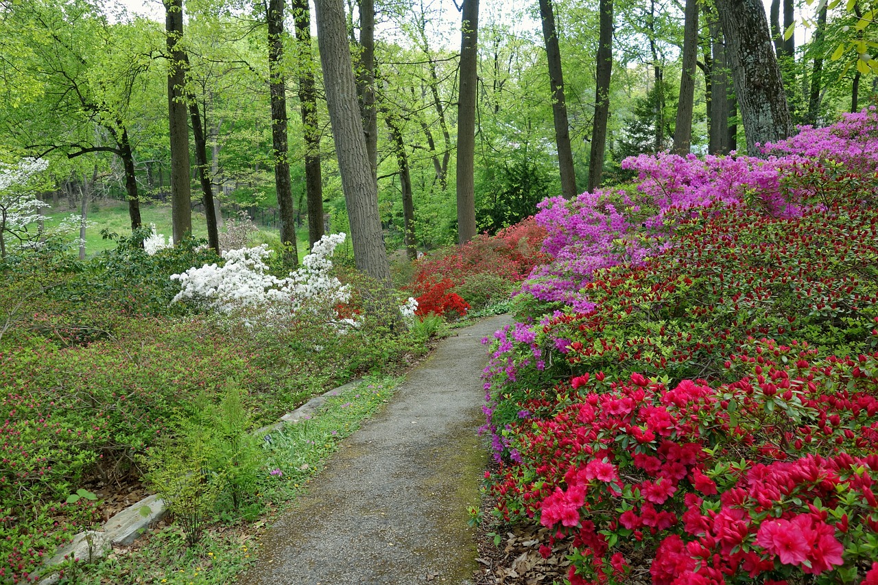 arboretum, devon, pennsylvania-174964.jpg