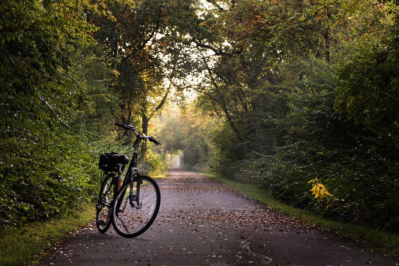 bike, trail, bicycle-2769021.jpg