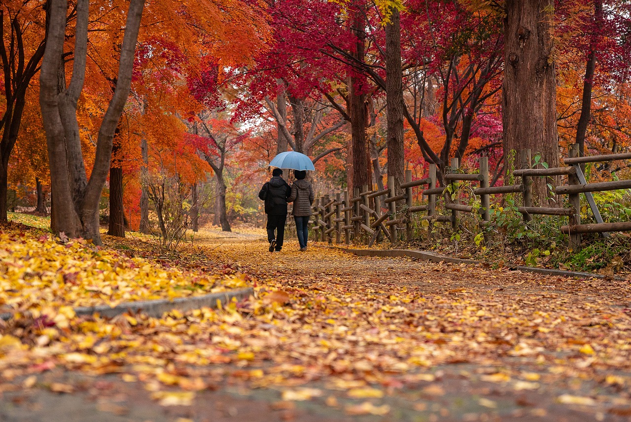 couple, park, autumn-4852225.jpg