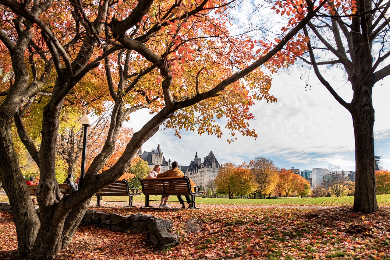 fall, park, bench-4641619.jpg