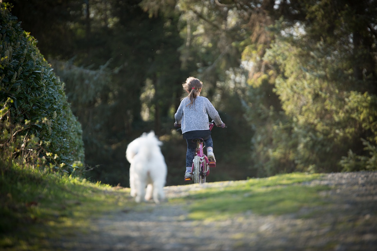 girl, pet, biking-4823612.jpg