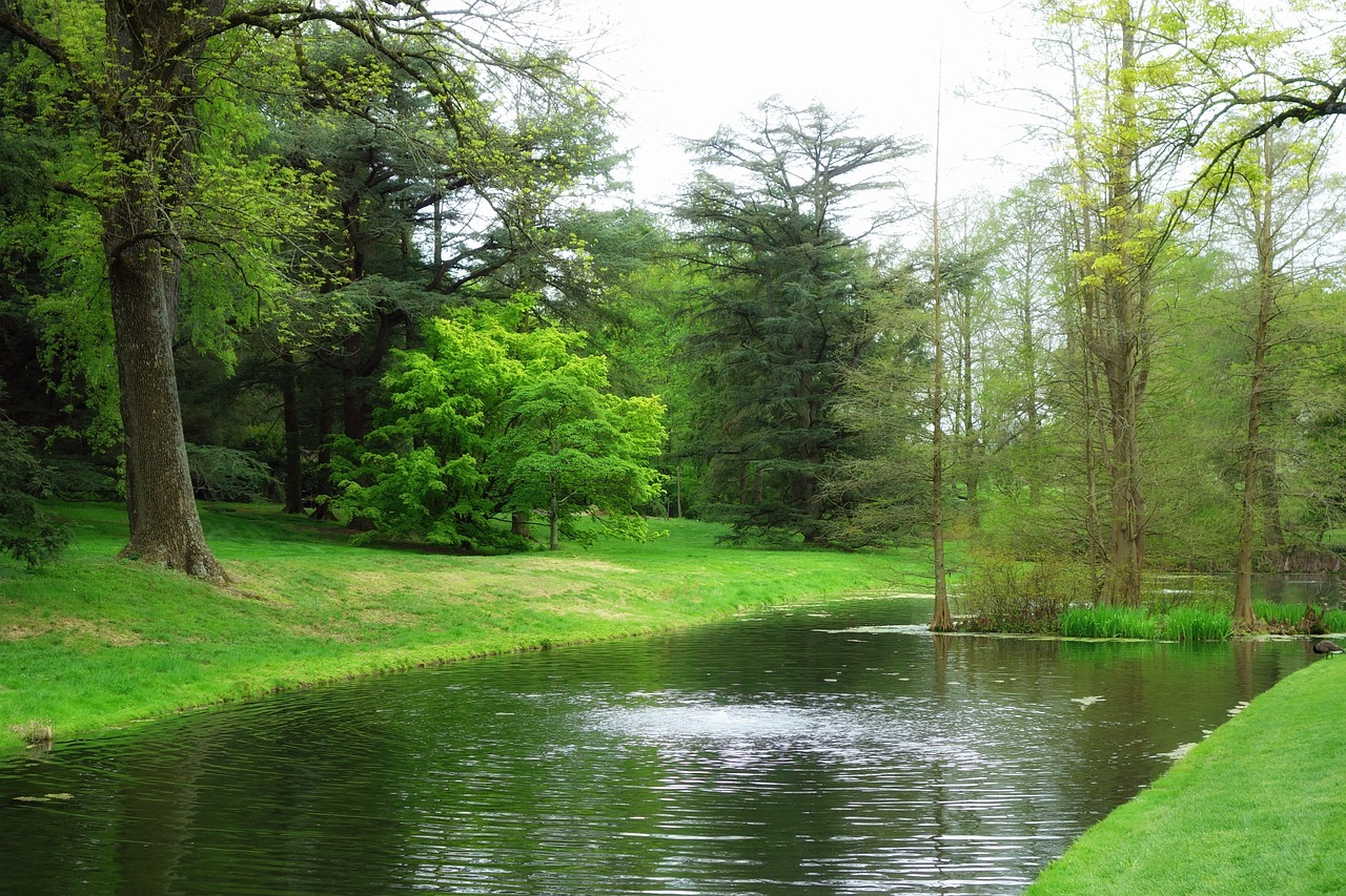 park, pond, water-174963.jpg